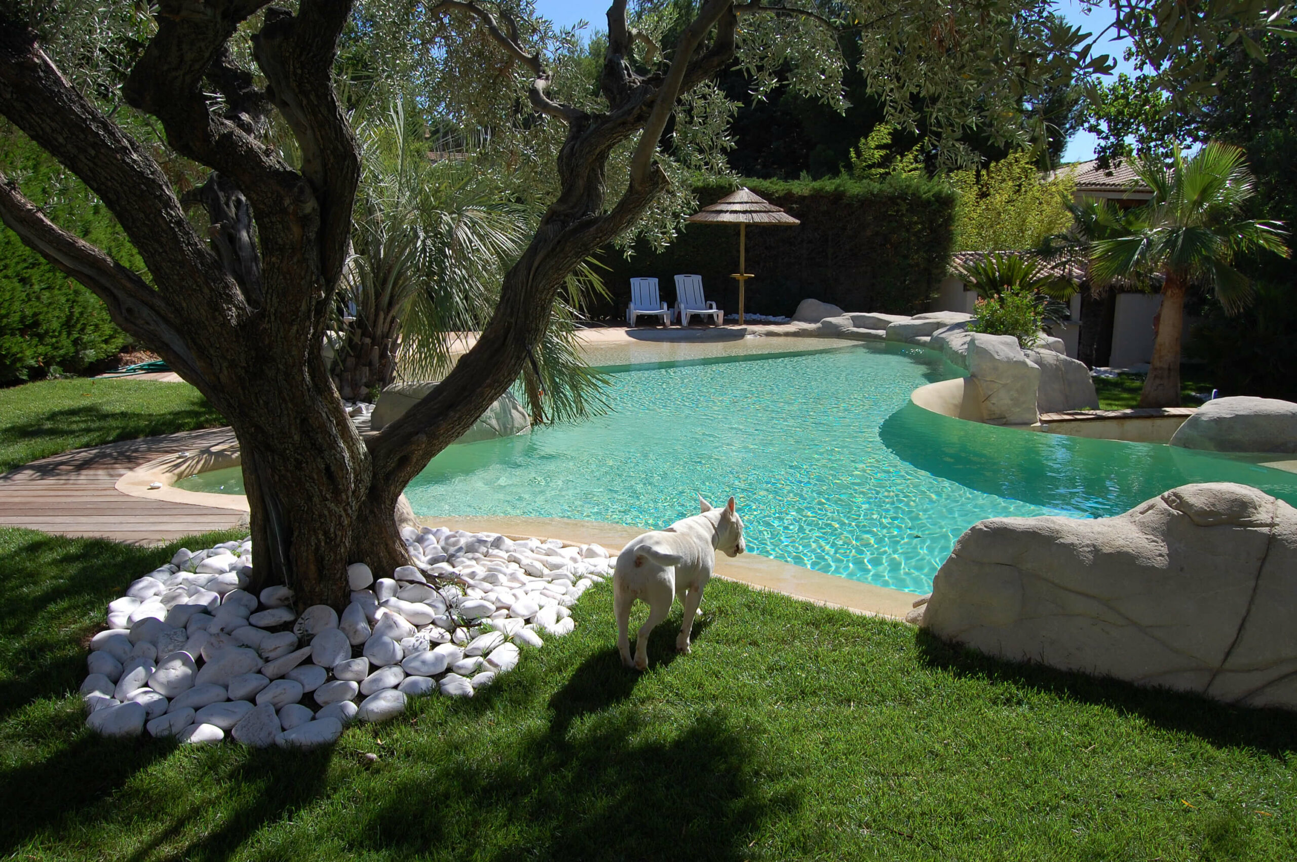 Piscines béton Jacques Brens I Le Lagon I Forme naturelle Piscines béton Jacques Brens I Le Lagon I Forme naturelle