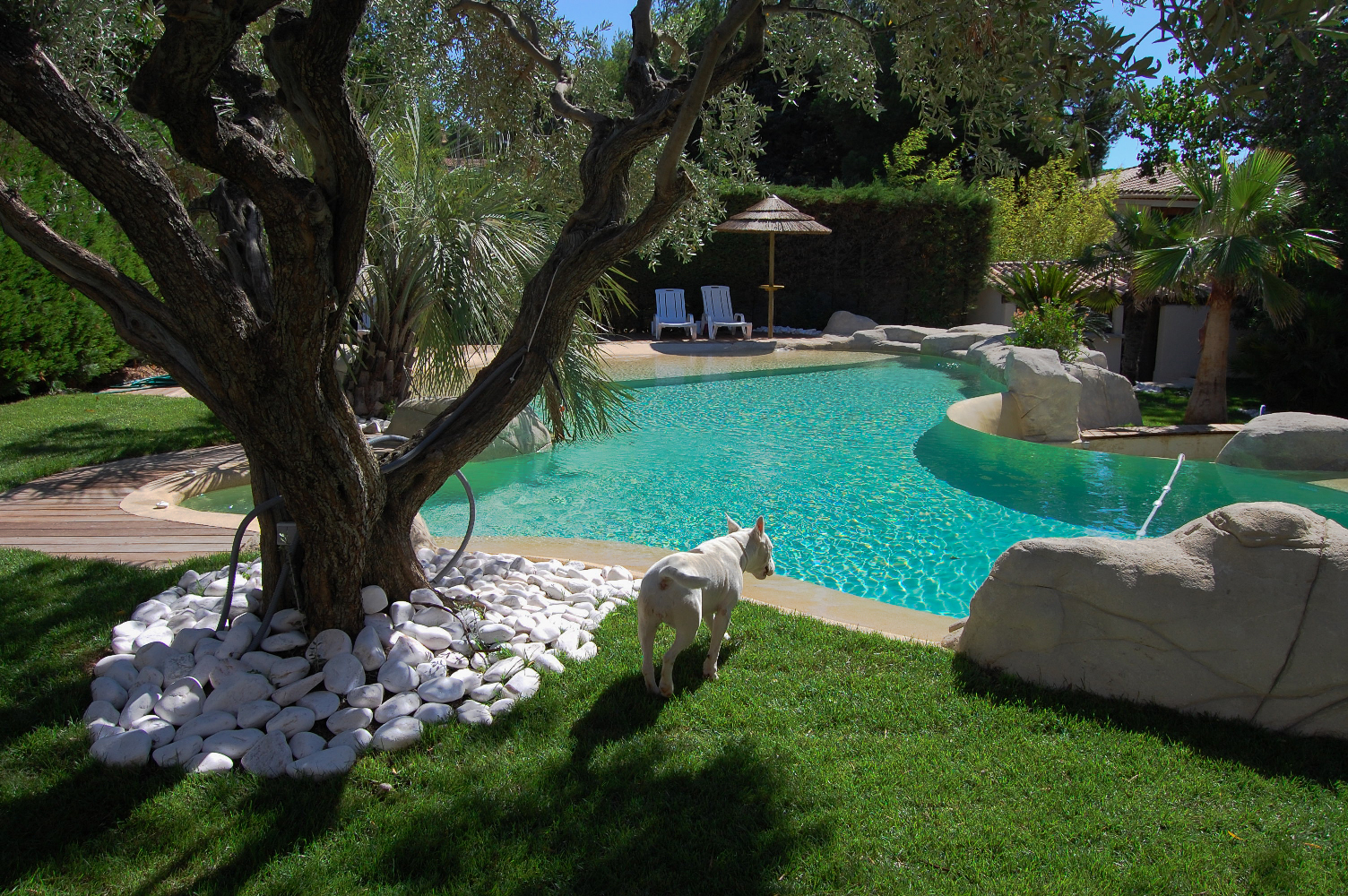 Construction de piscines en Béton à Aix en Provence et Cavaillon | LE LAGON - Le-lagon-4-min